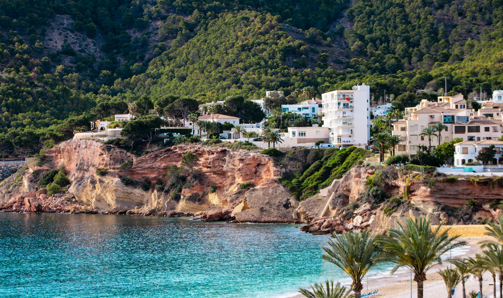 A beach with palm trees and houses on a hill